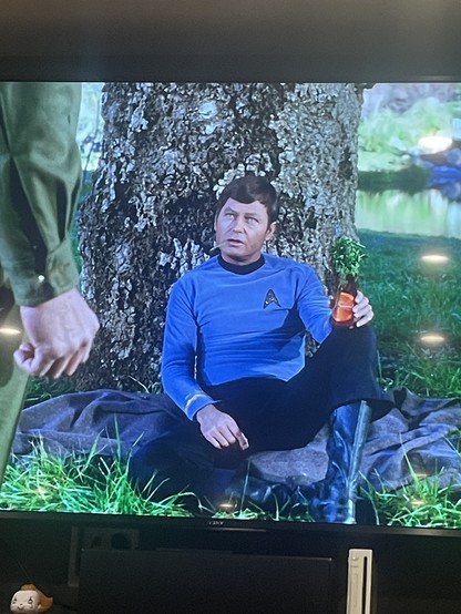 The doctor in his blue uniform sits comfortably on a blue blanket up against a trubi of a large tree. He is holding a tall glass of red liquid with mint sticking out the top. There is a man with his back to the camera just to the left of the picture. He is wearing a green uniform. 