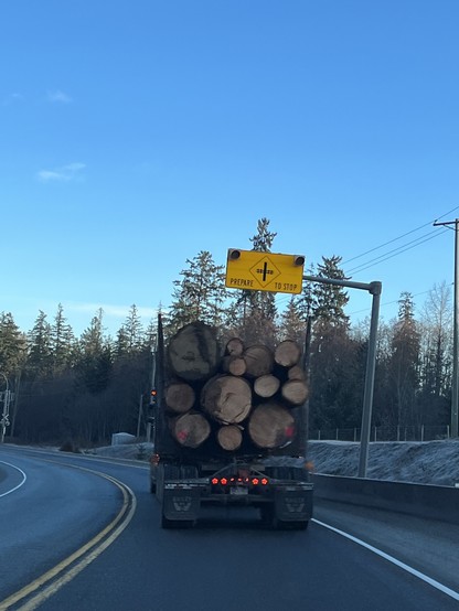 A picture from behind a logging truck shows about two dozen logs piled in between the side uprights. They are of various diameters and range from light brown to a dark grey muddy colour. Two logs, both on the bottom and one on each side, have bright pink dots of spray paint.  The road is curving to the left. It is a two lane highway with a double yellow line. There is a small fir forest up to the edge of the road not far ahead. The sky above is clear and blue. There is a yellow highway sign han…