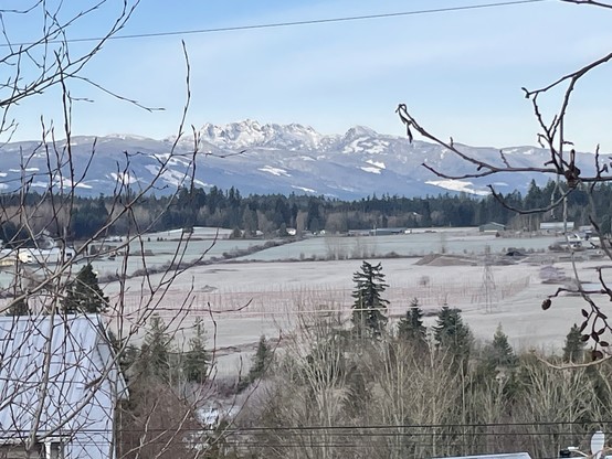 A picture of the east side of Mt Arrowsmith from a distance. In the foreground are farmers fields bordered by fir forests and some deciduous trees empty of leaves.