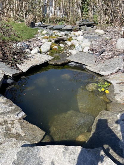 The bottom pond looks a little murky after getting stirred up while cleaning it out. It is round with flat rocks around the edges and a stream empty into the middle. The top pond is just visible a few feet up stream.