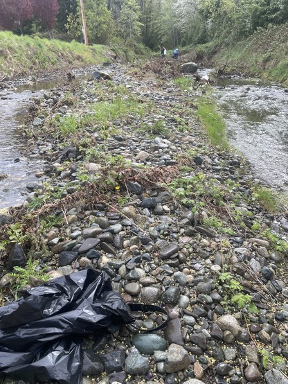 The middle of a creek with a run of water going down both sides of a rocky middle. There is a black plastic bag on the ground. There are people up the creek in the distance.