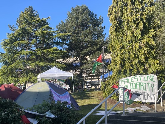 A scene showing two tents, and a Palestinian flag in a grassy area surrounded by trees. There is a large Palestine Solidarity Movement sign up against a cedar tree.