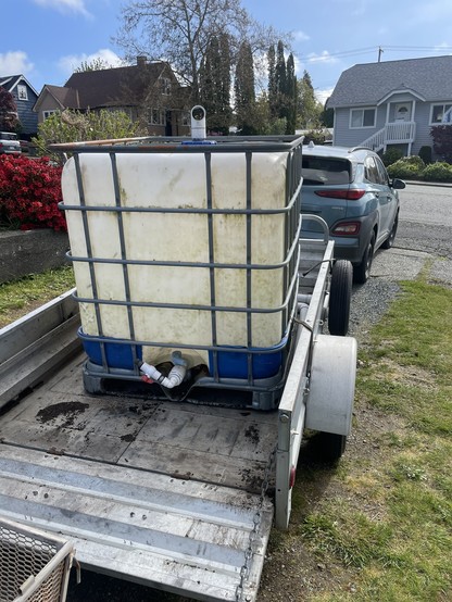A large water tank sits inside a trailer. It is semi transparent white plastic with a metal grate around it. There is a large spigot on the bottom and an intake on the top. The trailer has its back gate down. It has low alumnimum sides and deck. It is parked behind the blue Kona EV in the driveway.