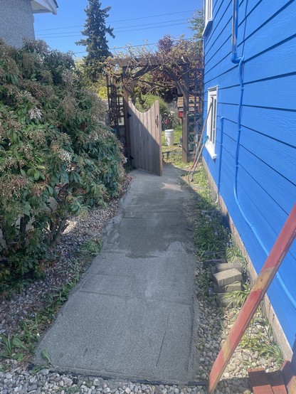 A path beside a blue house between the house and a green bush. It is flat sand about 2ft wide
