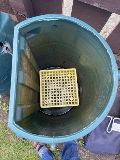 A picture looking down into a D-shaped rain barrel with the top cut off. Inside the green barrel is a square milk crate. It is yellow. This is to create a void for water to be in so that the filter can be emptied and cleaned out when necessary.large rocks will go on top of the crate and in the gaps. Smaller pebbles and stones will fill the rest of the barrel for filtering.