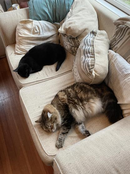 A black cat and a large tabby cat lie in nearly the same position each on one cushion of a two seat love seat.