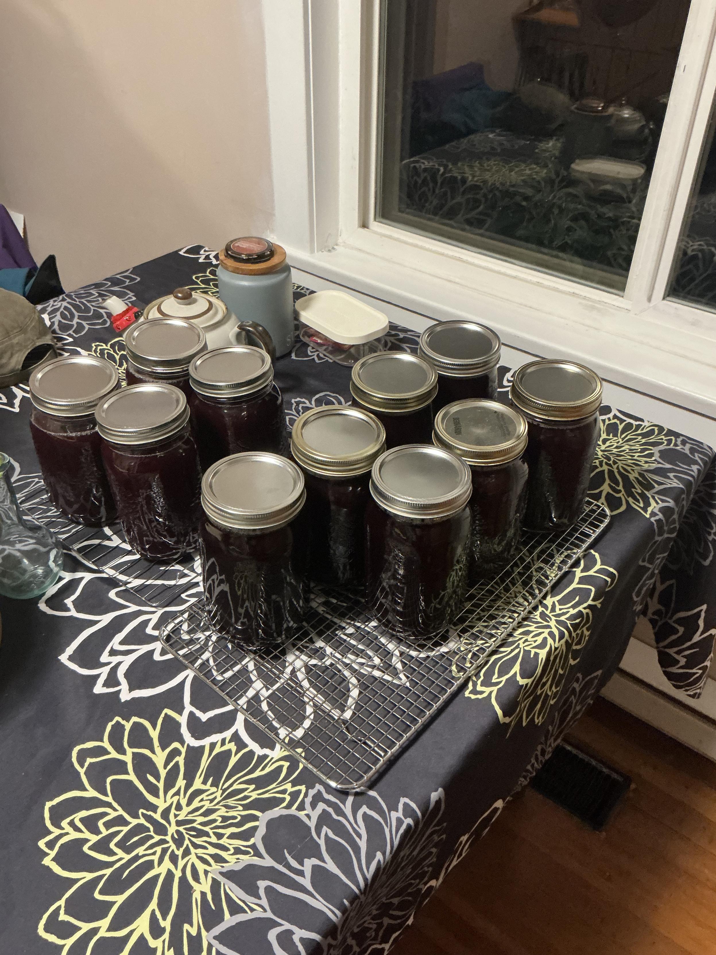 11 jars sit on a metal cooling rack on a table. They are full of dark purple liquid.