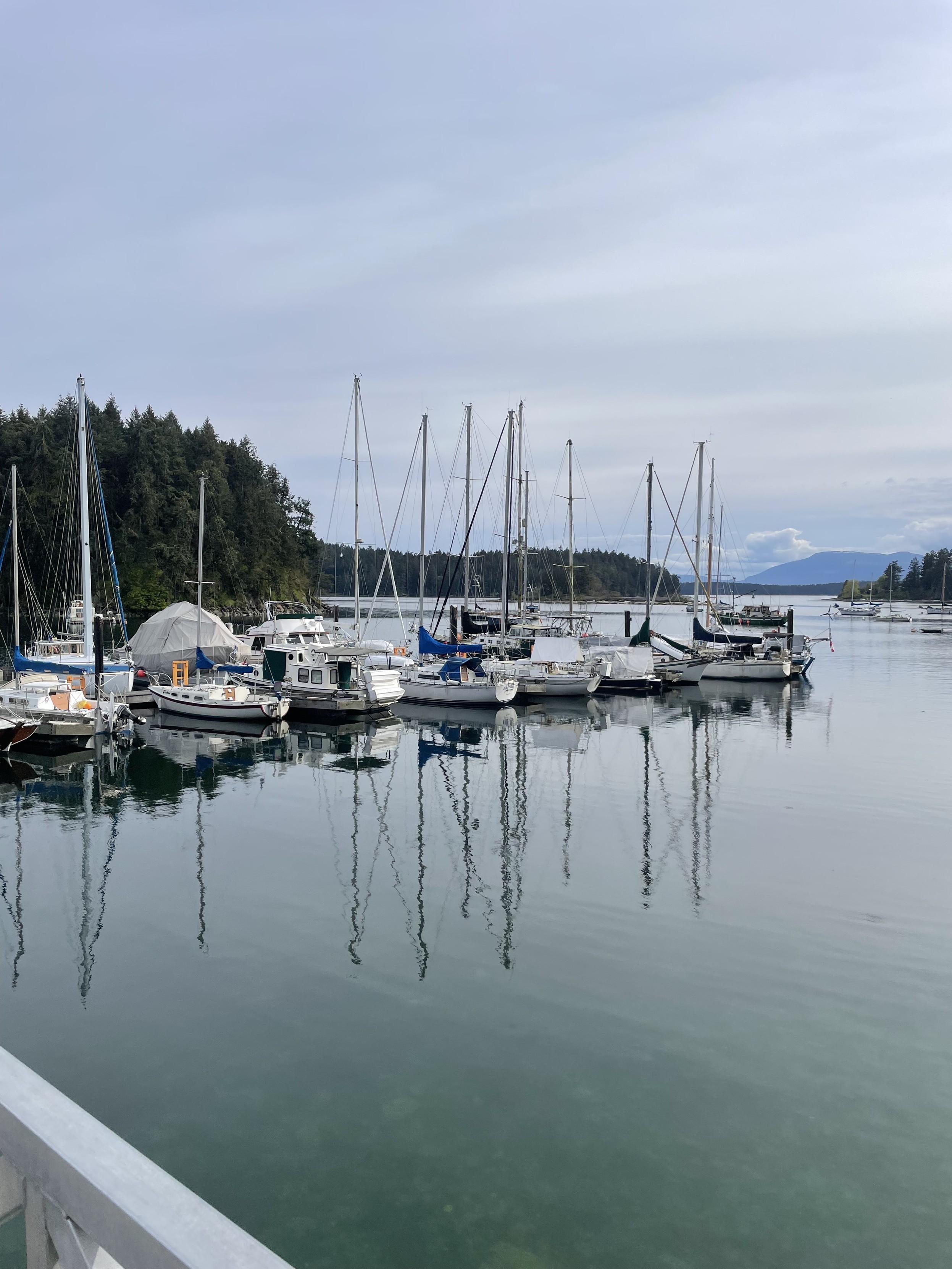 a view of the small marina with green water and partly cloudy sky. many boats in small fingers are lined with their sterns facing us.