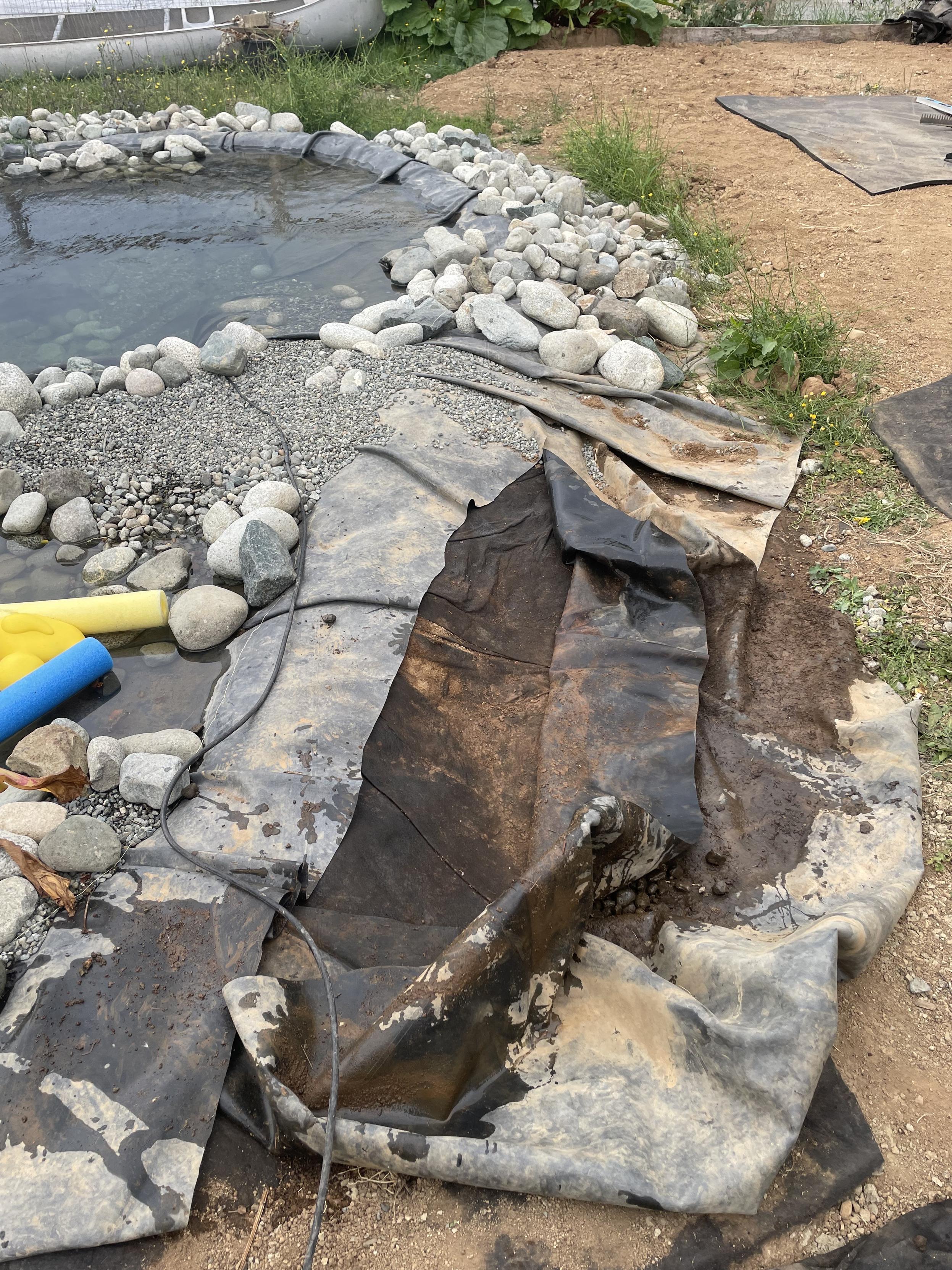 looking at the spot where I took away the rocks, I have also cut away the liner so that it is at the top of the hill that contains the pond. There are some pool noodles floating in the water near the edge.